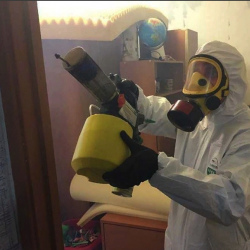 Уничтожение клопов в квартире. Перово 